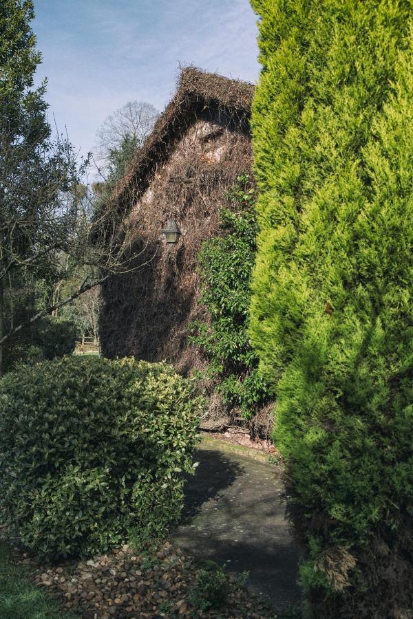 Готель La Casona De Amandi Вільявісьйоса Екстер'єр фото